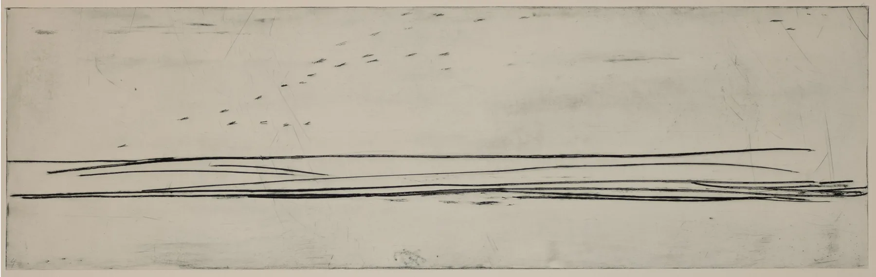 Geese, horizon, DP.32.1