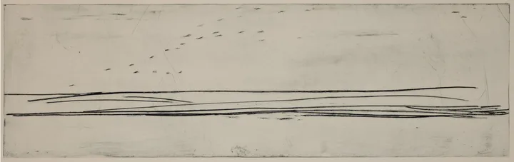 Geese, horizon