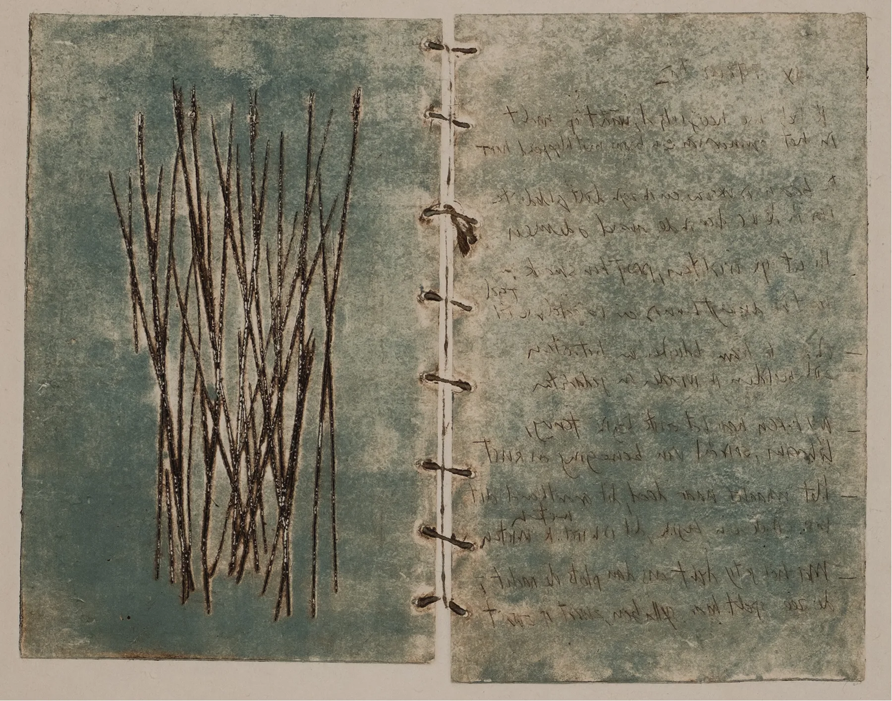 Book, grass, text, DP.48.1