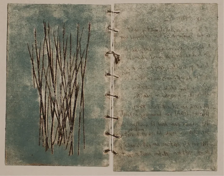 Book, grass, text