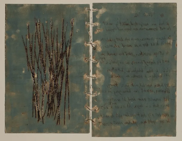 Book, grass, text — impression 2