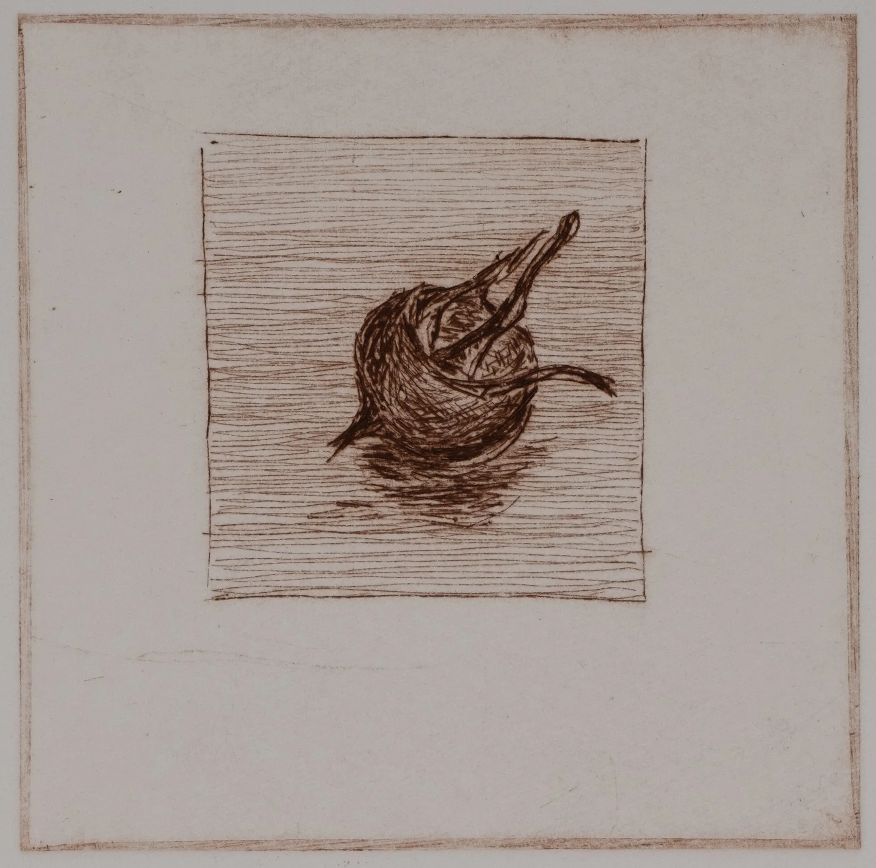 Medlar, solo, DP.73.1