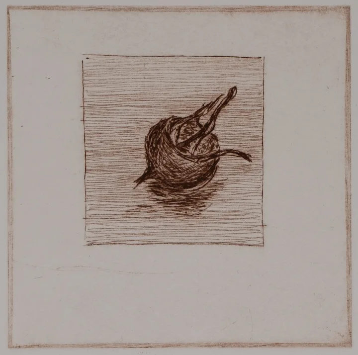 Medlar, solo