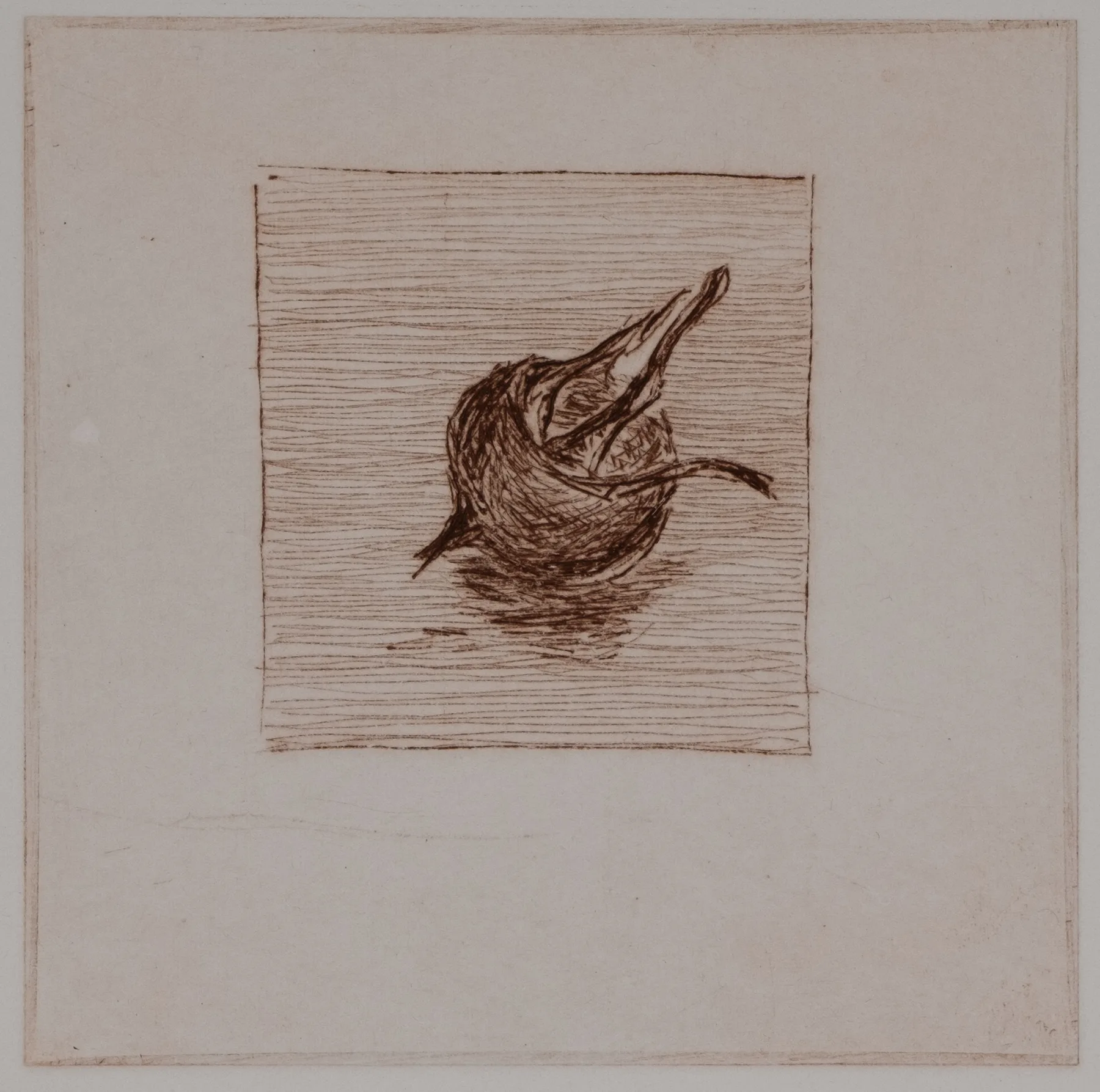 Medlar, solo, DP.73.2