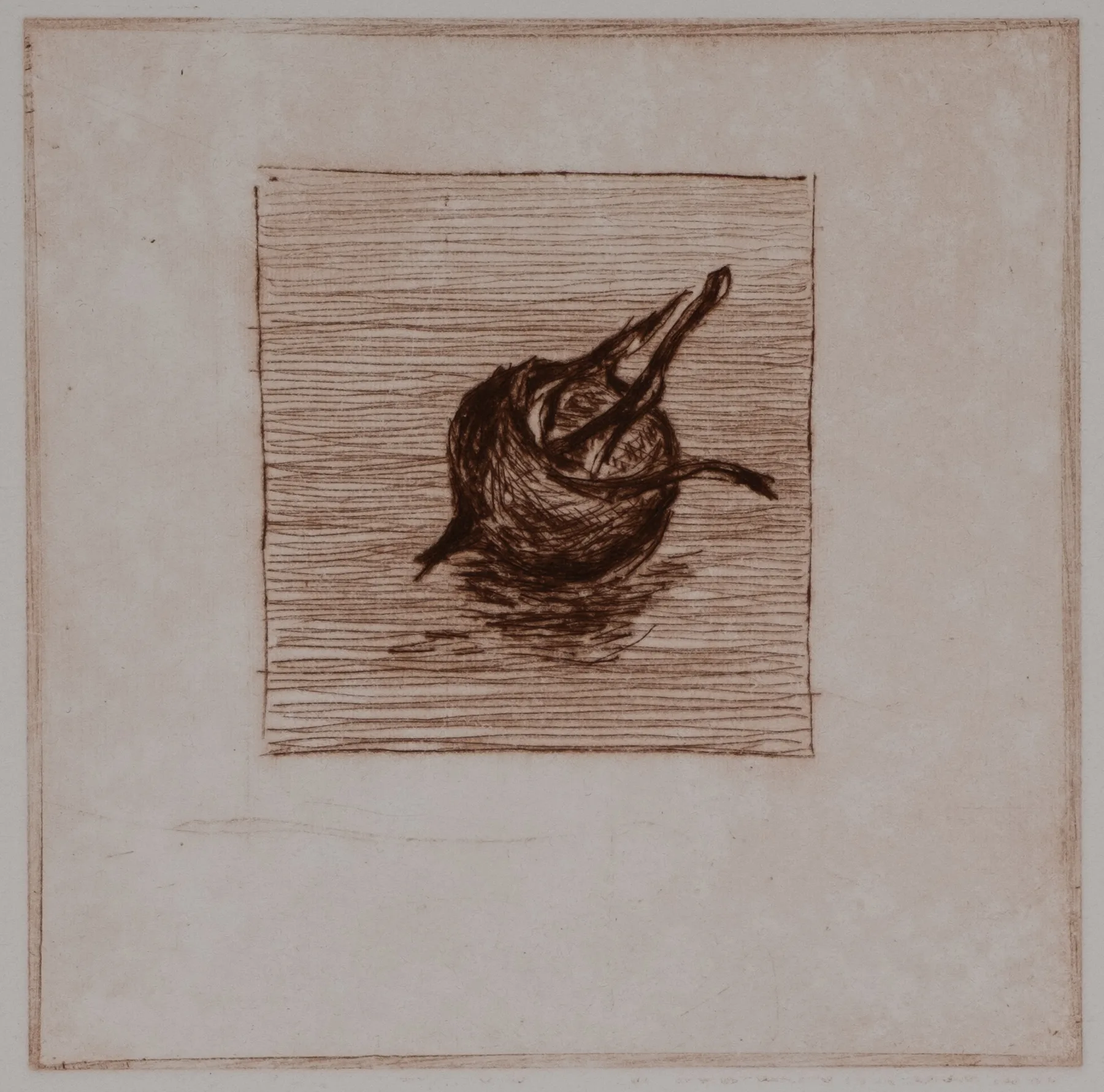 Medlar, solo, DP.73.3