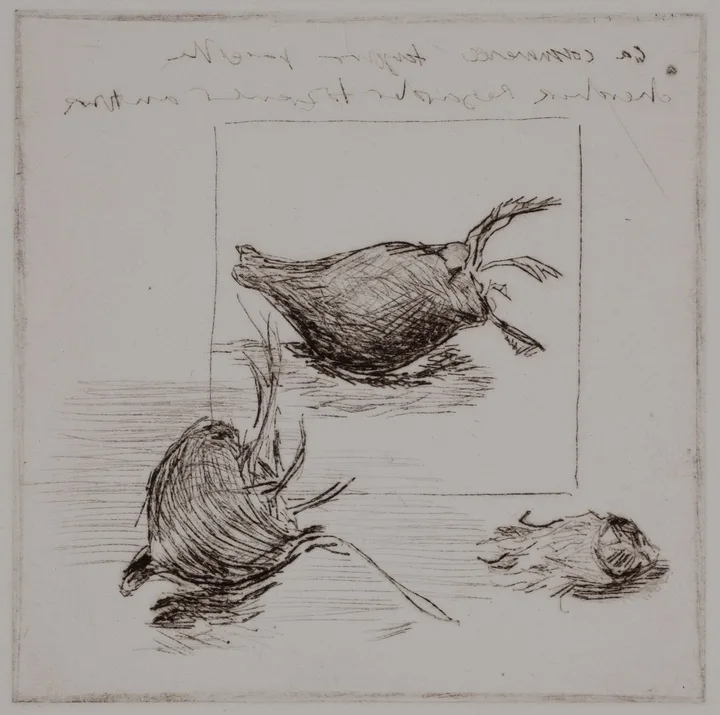 Medlar, hazelnut — impression 2