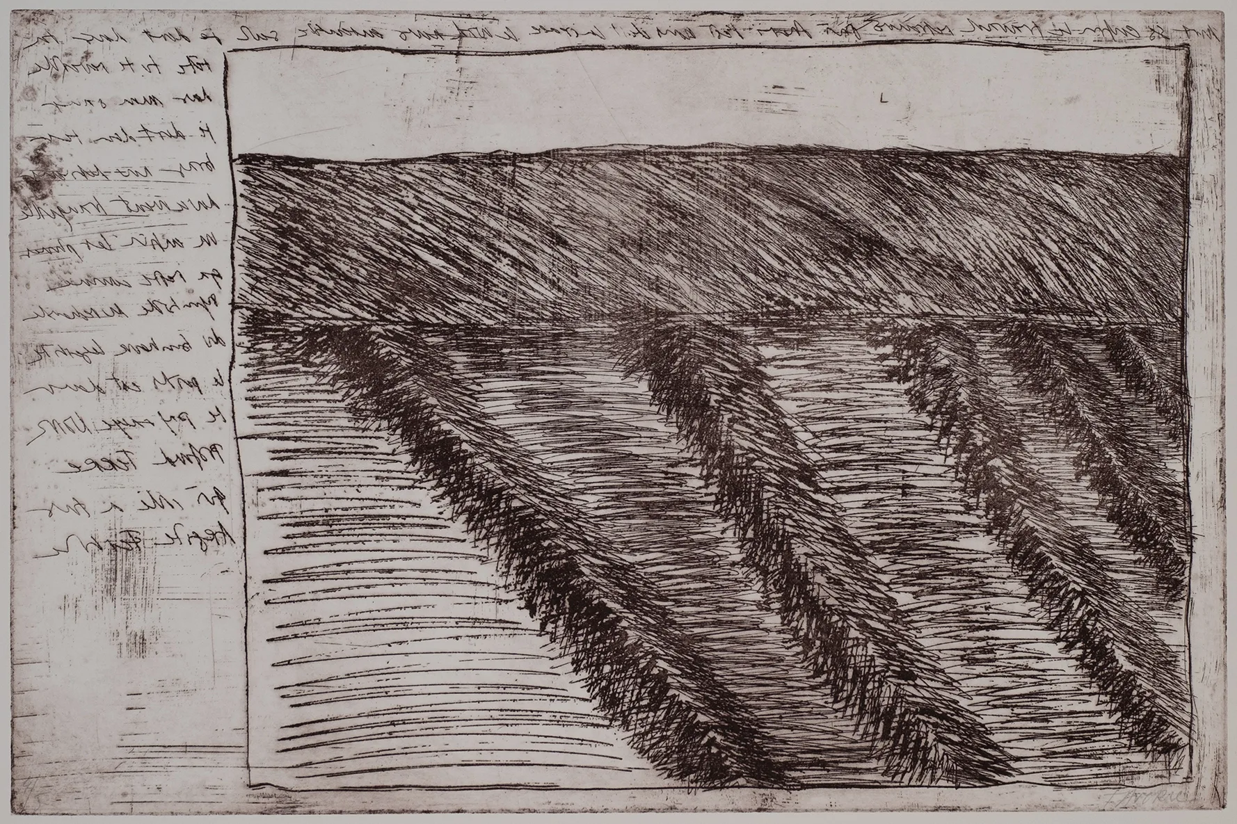Rows of potatoes, ET.43.1