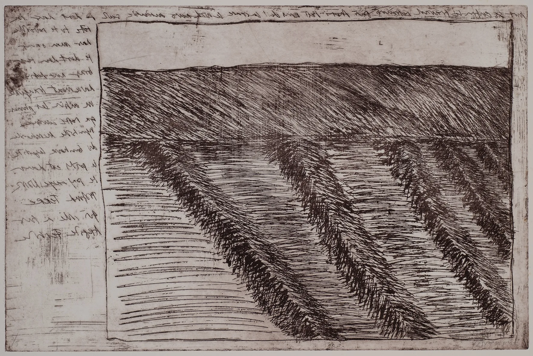 Rows of potatoes, ET.43.2