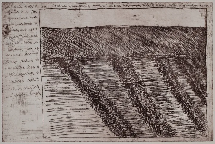 Rows of potatoes — impression 2