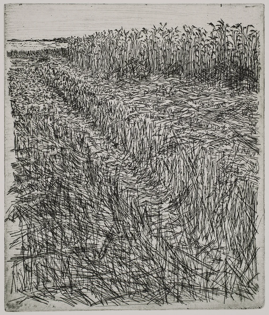 Grain field, dye, ET.71.10