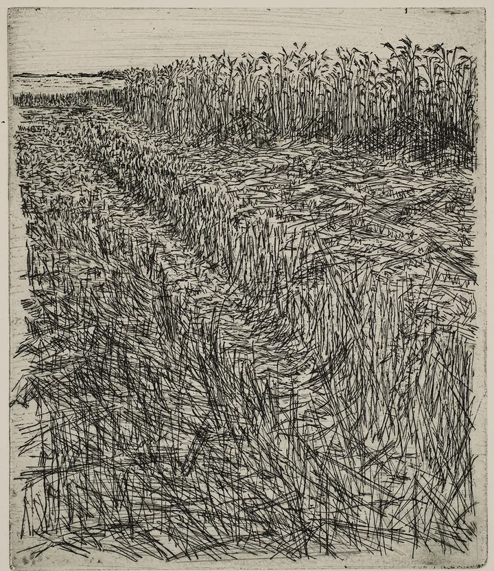 Grain field, dye — impression 2
