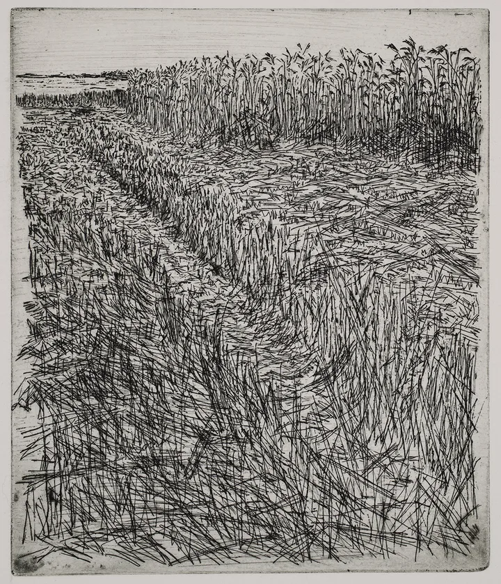 Grain field, dye — impression 8