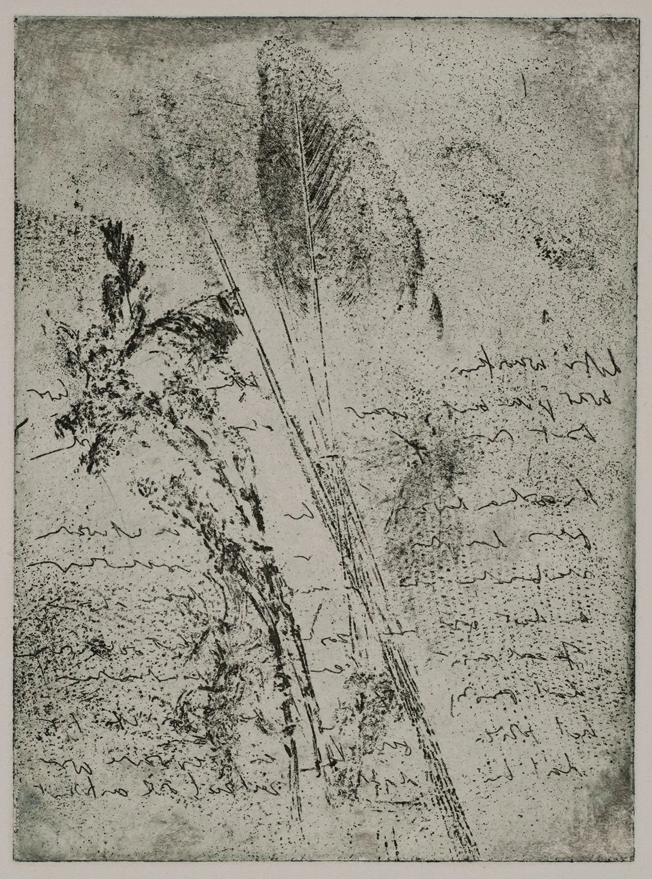 Text and feathers, ET.78.1