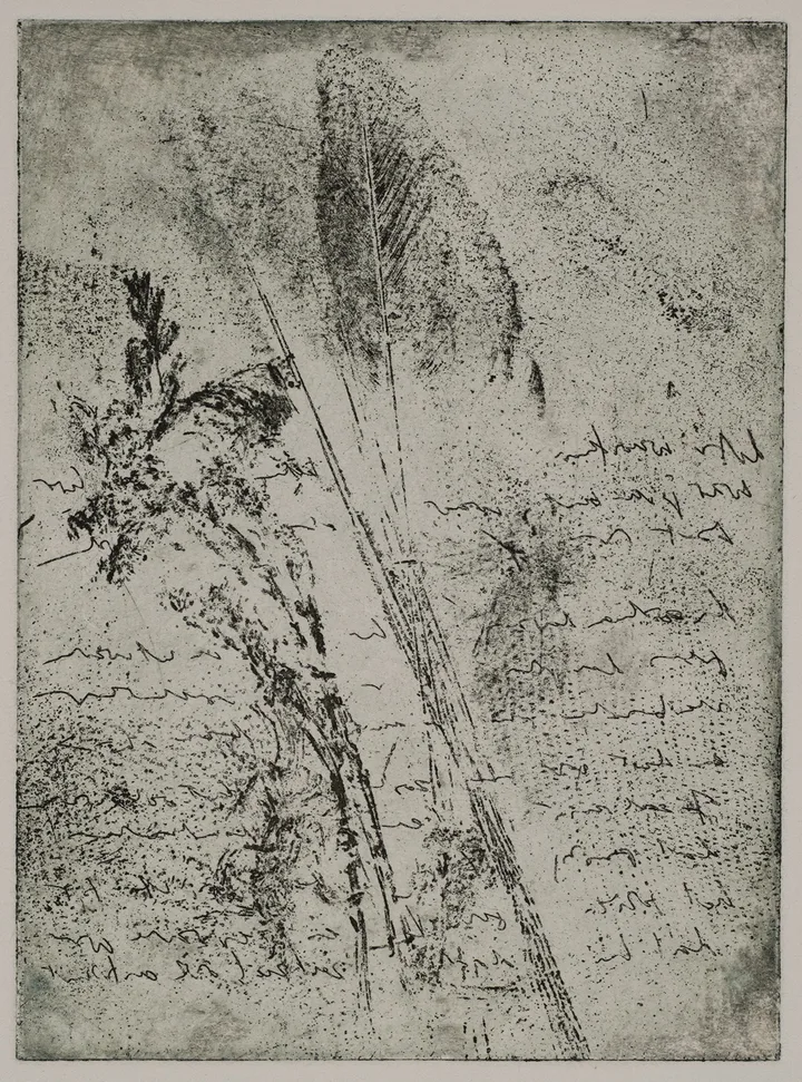 Text and feathers