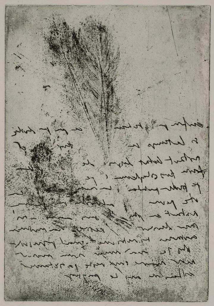 Feathers and text