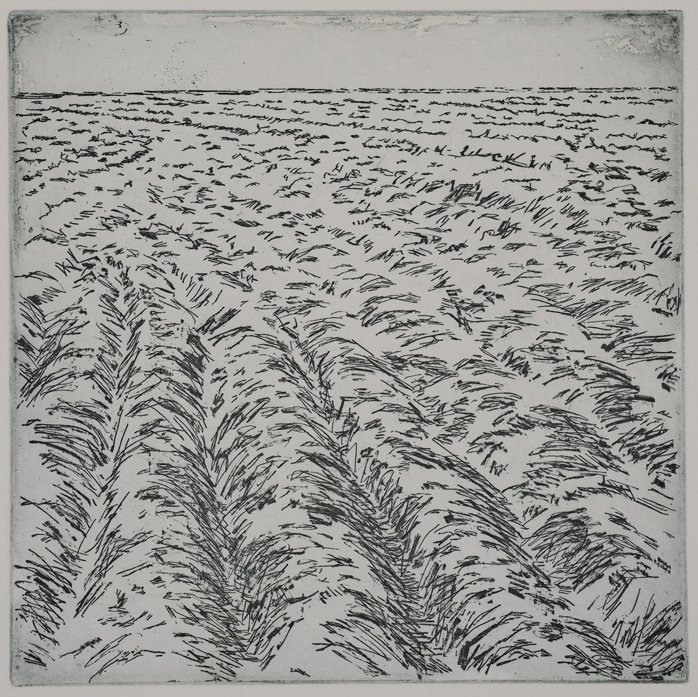 Tilled soil, winter, ET.81.1