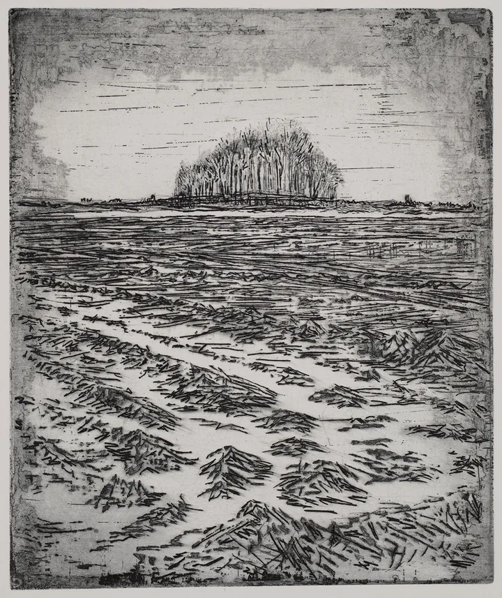 Cathedral II — impression 10