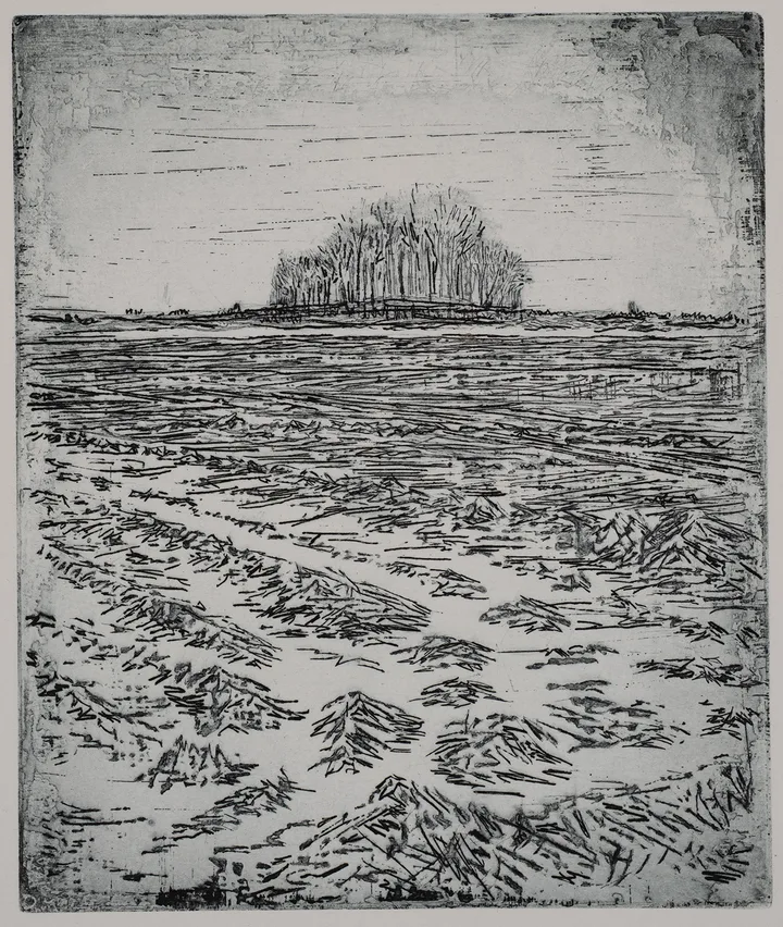 Cathedral II — impression 3