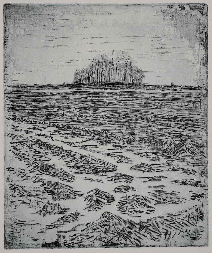Cathedral II — impression 4