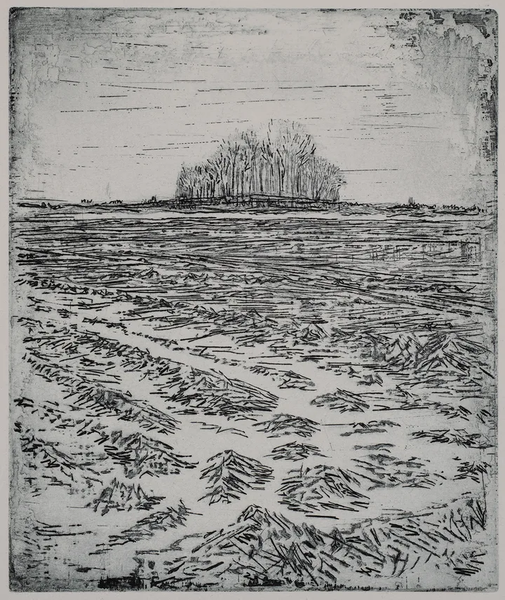 Cathedral II — impression 5