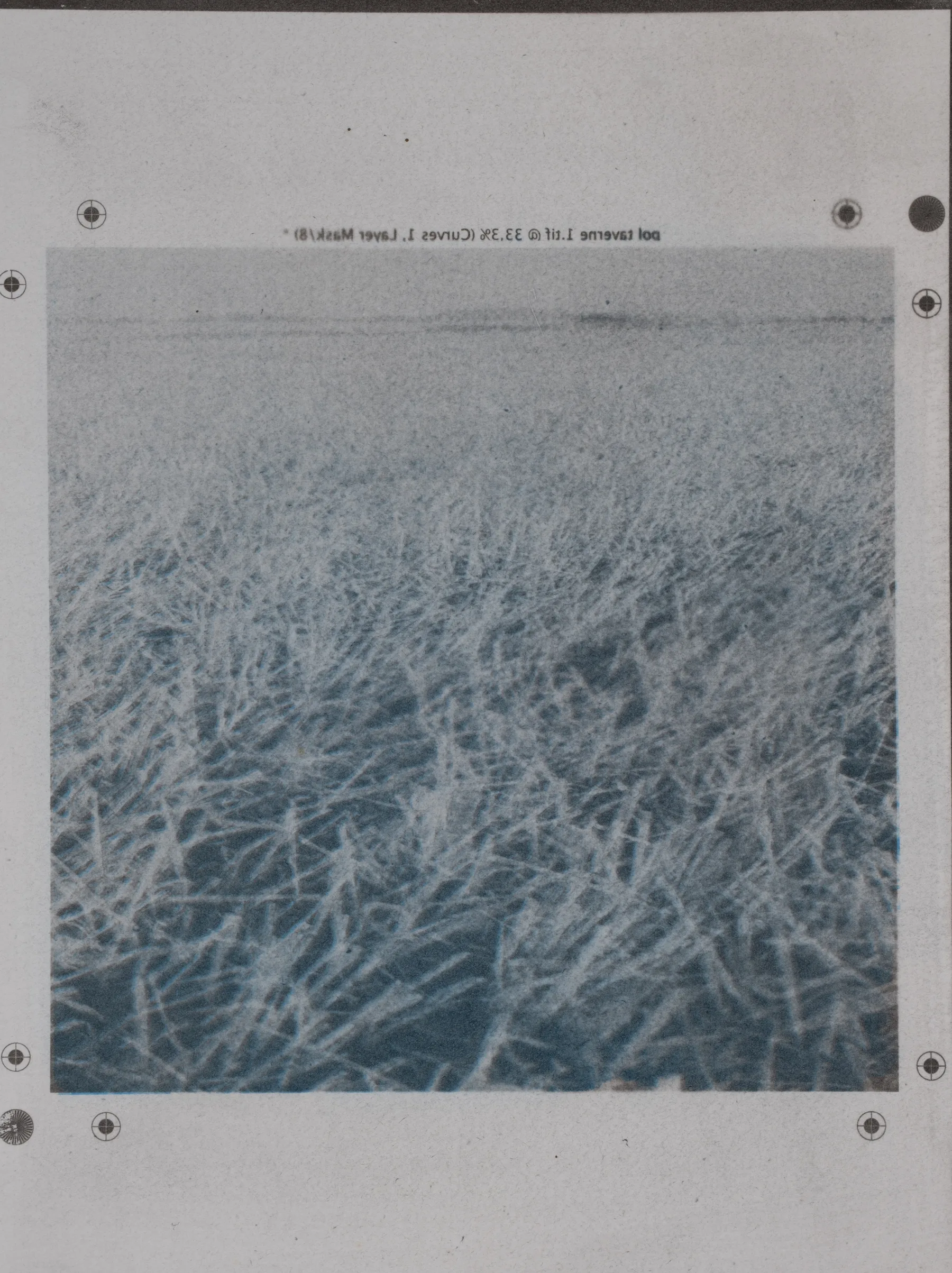 Grass, duotone, GP.92.1
