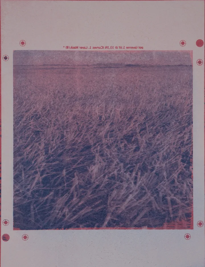 Grass, duotone — impression 2