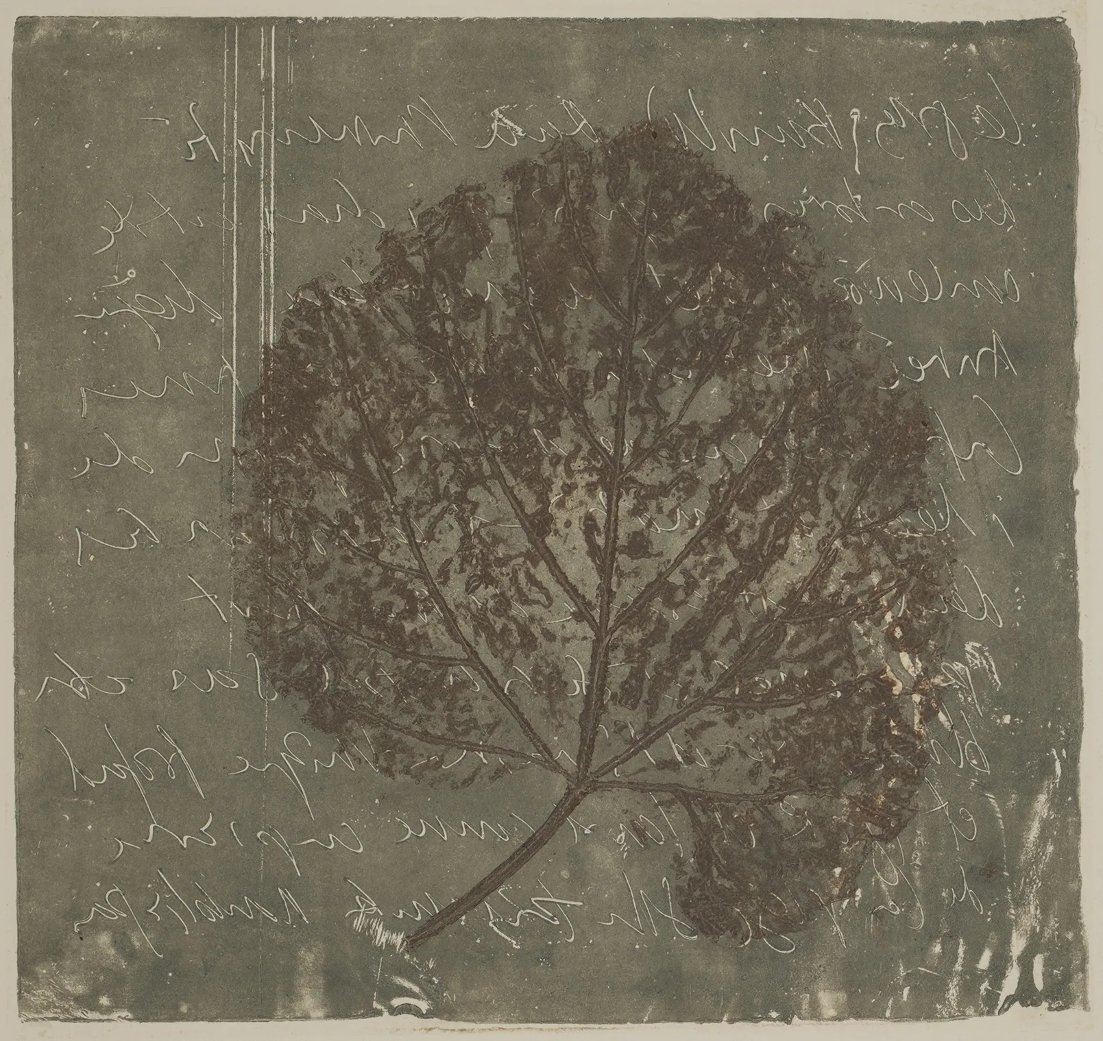 Lead and leaf, MO.51.1