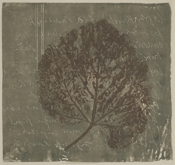 Lead and leaf