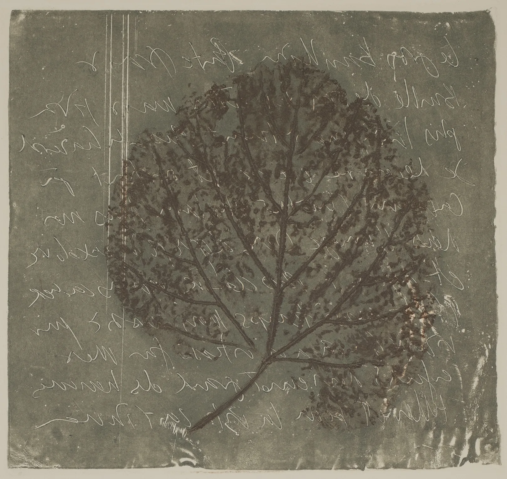 Lead and leaf, MO.51.2