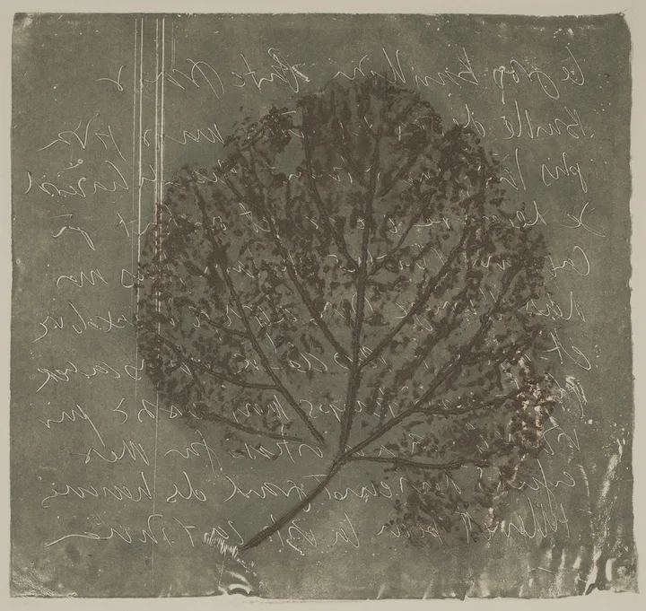 Lead and leaf — impression 2