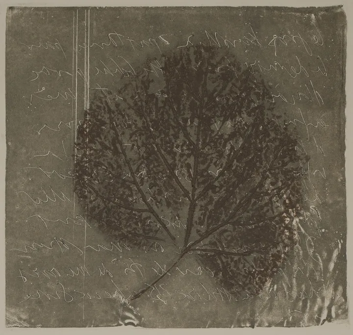 Lead and leaf — impression 3