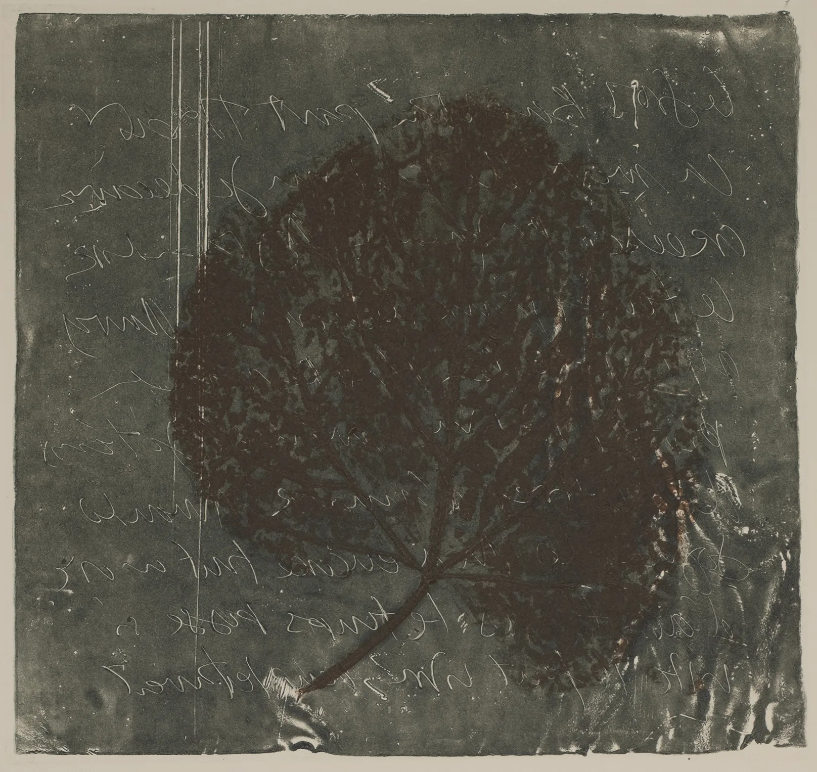 Lead and leaf, MO.51.4
