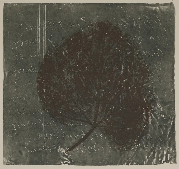 Lead and leaf — impression 4