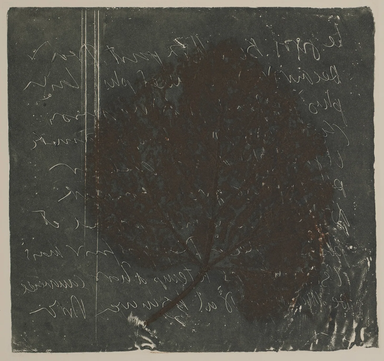 Lead and leaf, MO.51.5