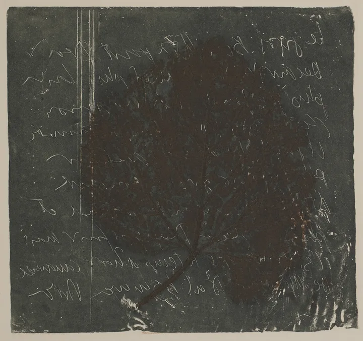 Lead and leaf — impression 5