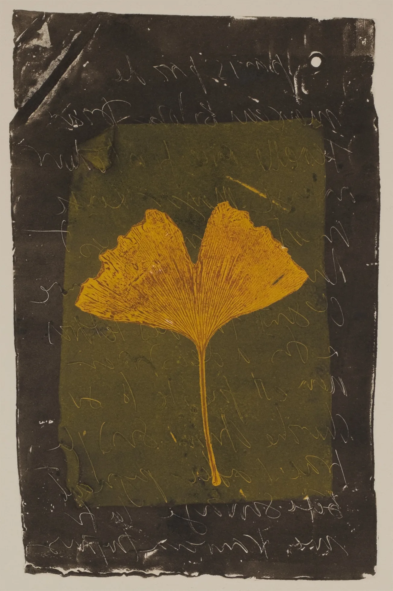 Biloba and lead, MO.54.1