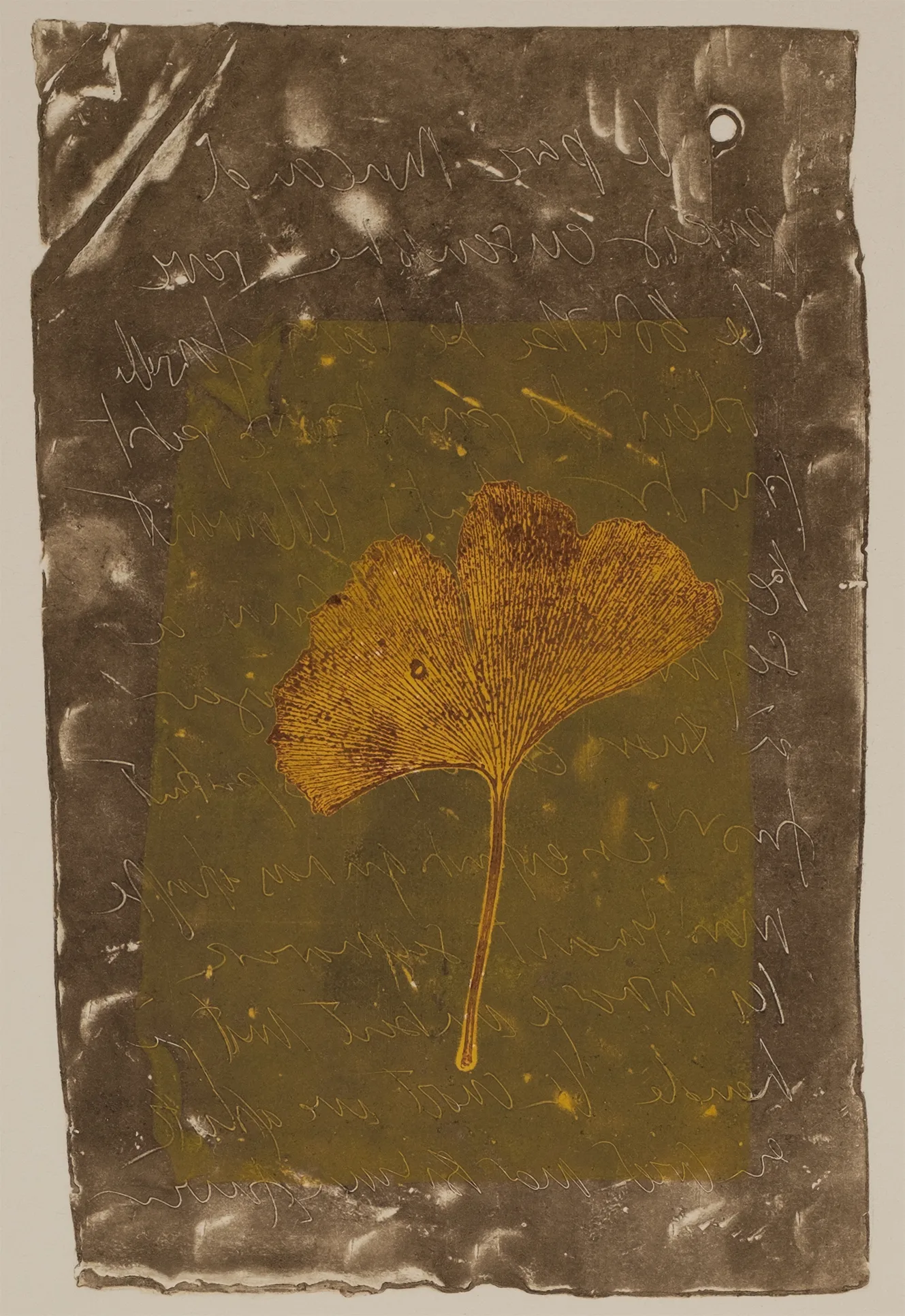 Biloba and lead, MO.54.2