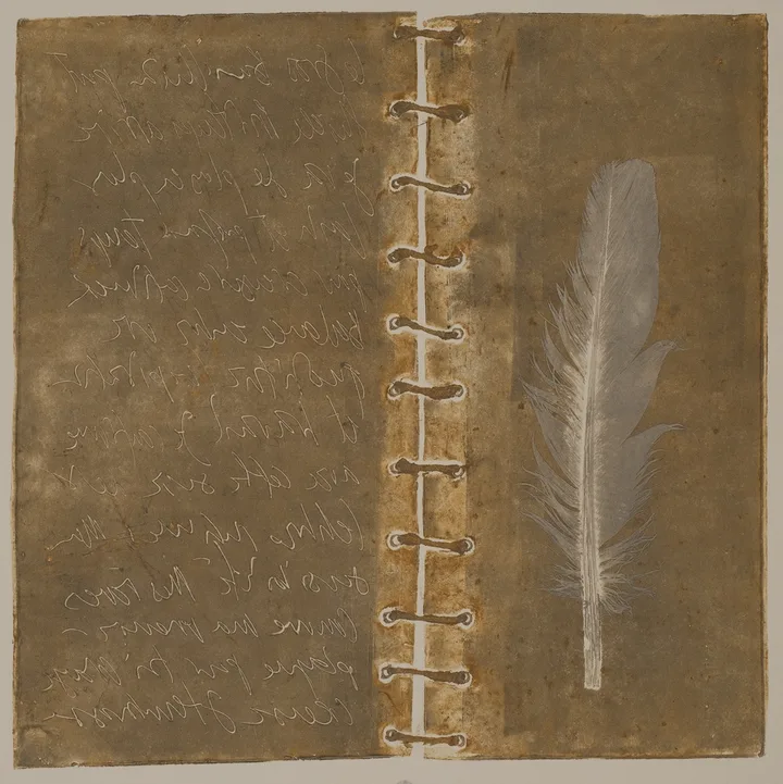 Feather, book and lead — impression 5