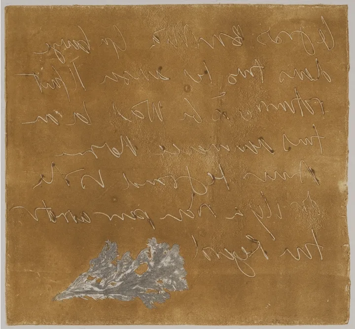 Seriphidium maritimum — impression 3