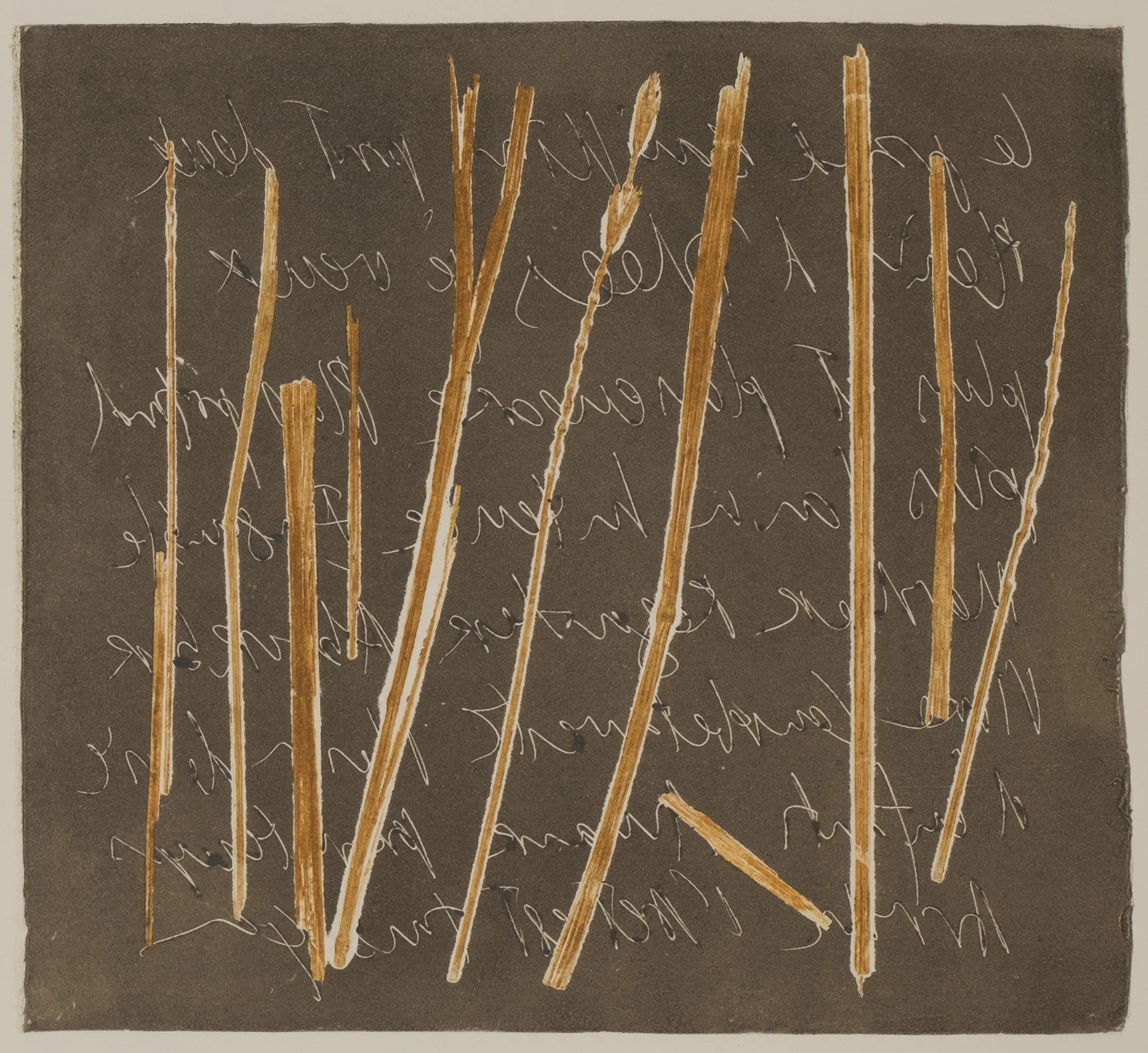 Grass and lead, MO.57.2