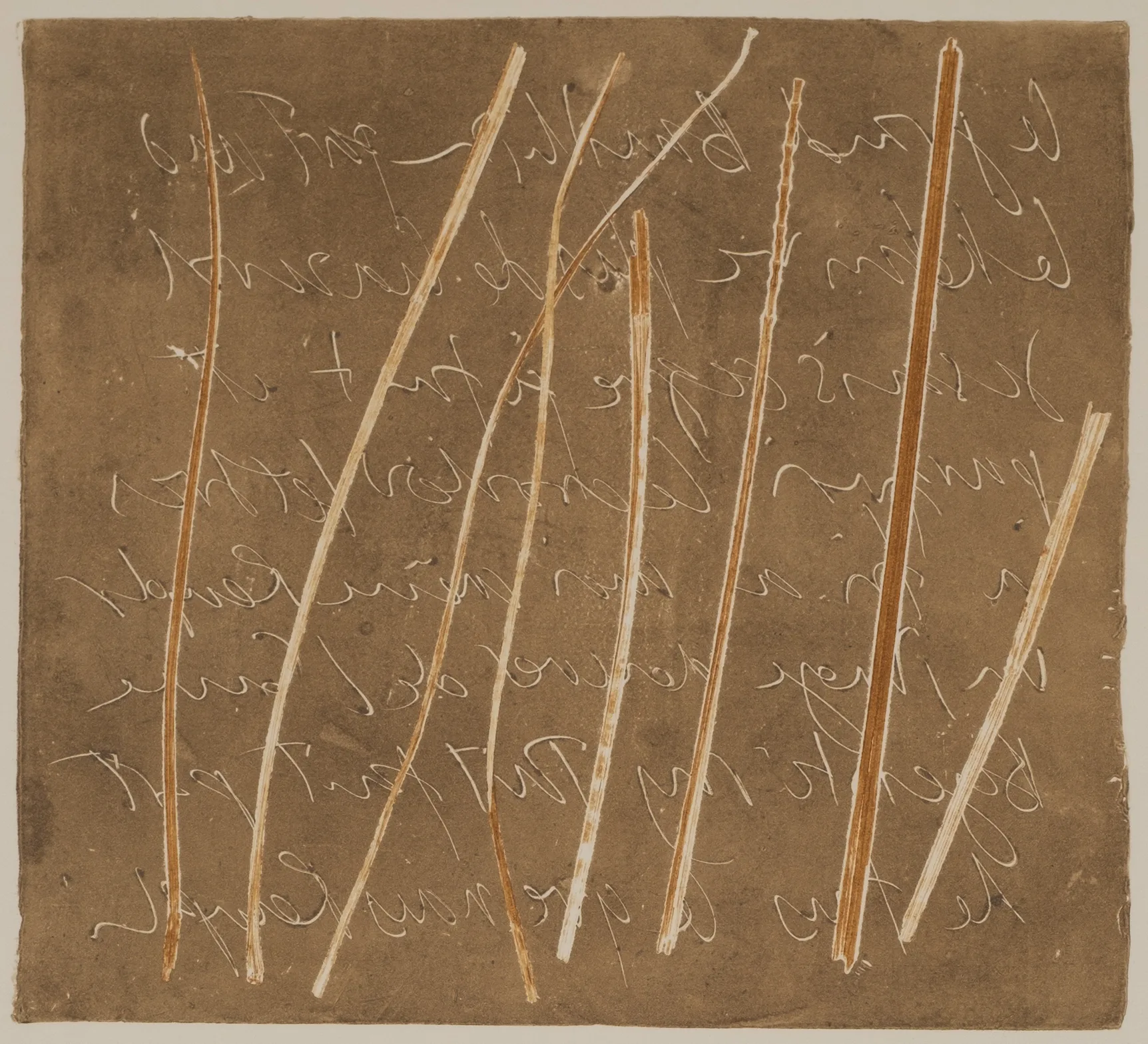 Grass and lead, MO.57.3