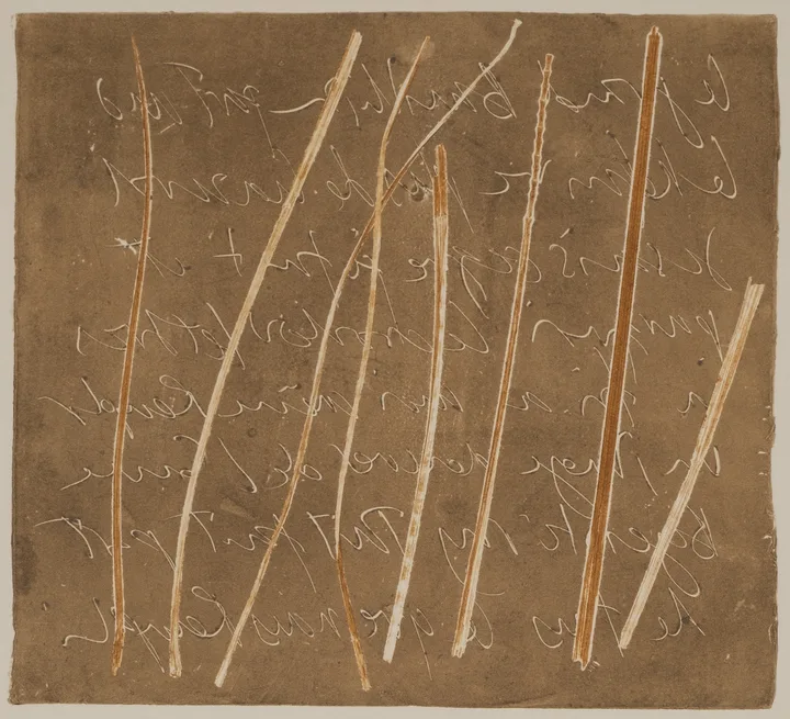 Grass and lead — impression 3