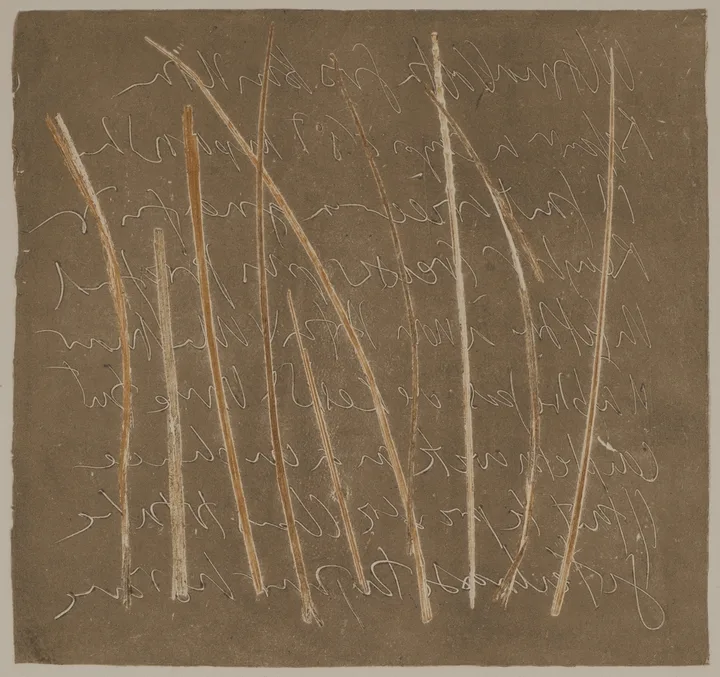 Grass and lead — impression 6