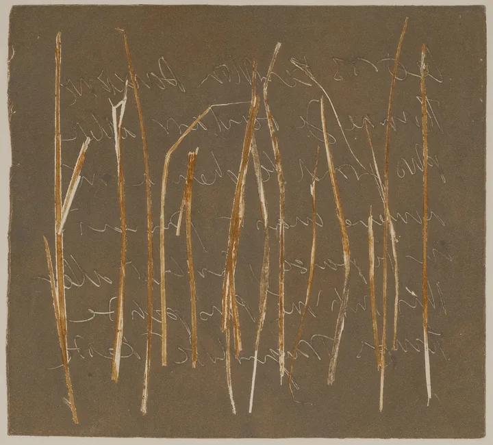 Grass and lead — impression 7