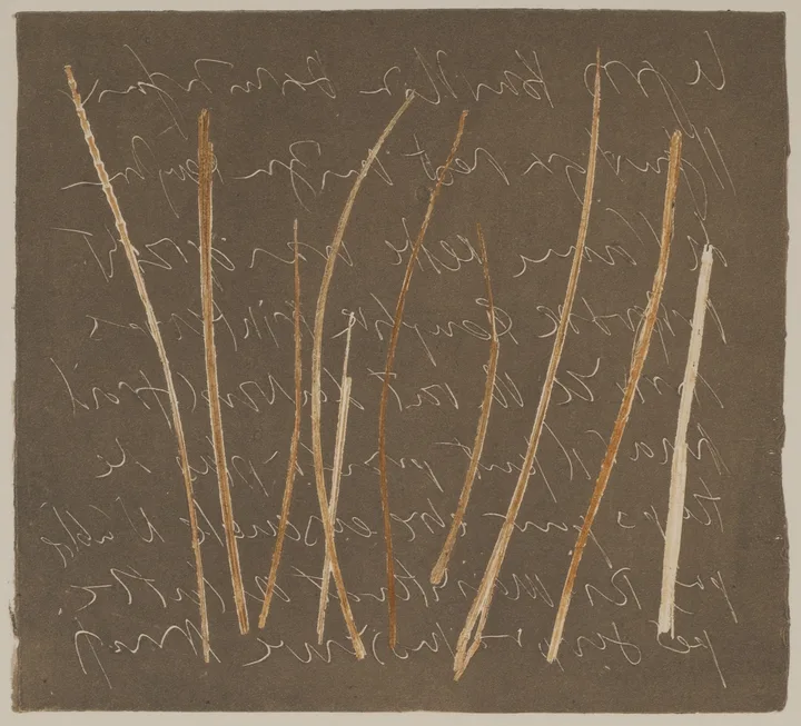 Grass and lead — impression 8