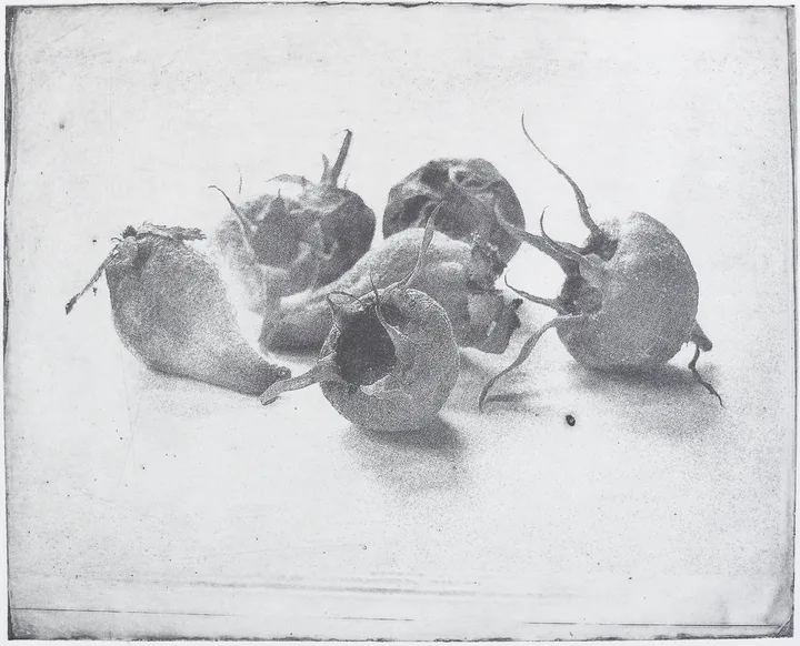 Medlar and quince