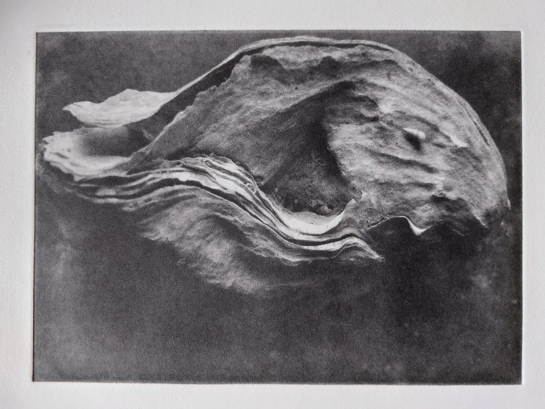 Shell, PP.103.1
