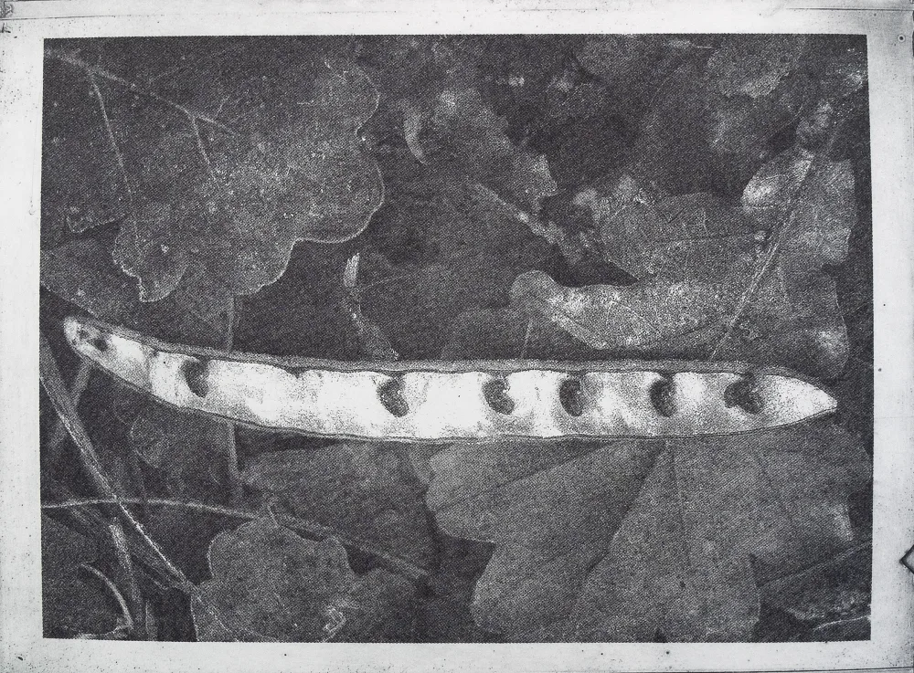 Pod, PP.107.1