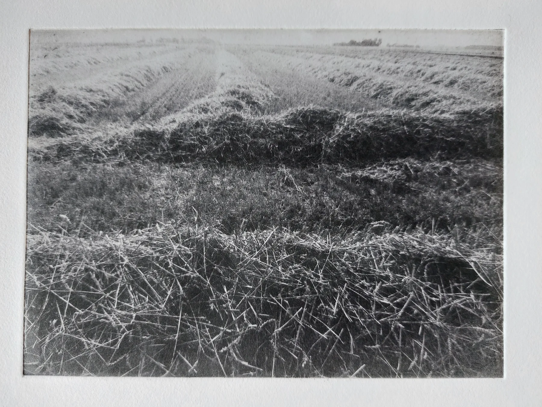 Grain, Copenhagen, PP.109.1