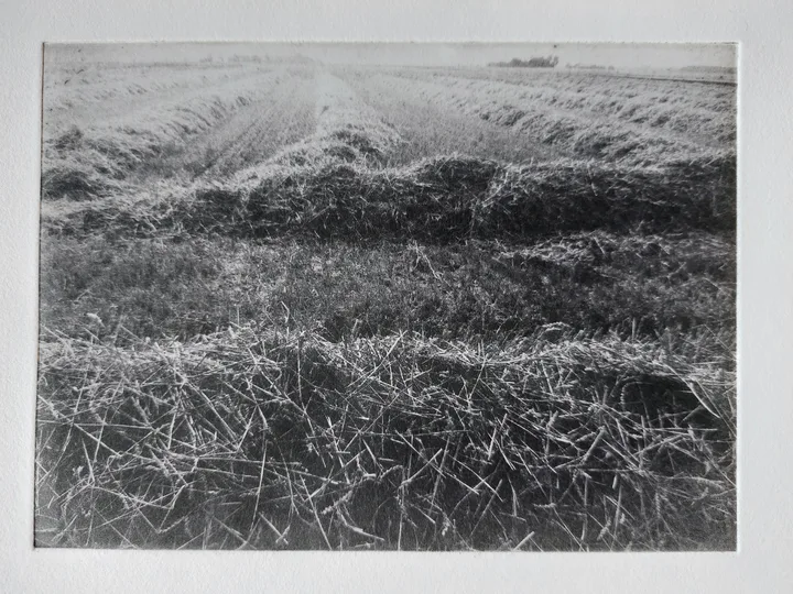 Grain, Copenhagen